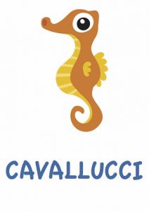 cavallucci